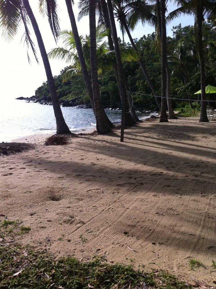 Turtle Cove Beach Resort - Adults Only Lgbtqia & Allies Wangetti Extérieur photo
